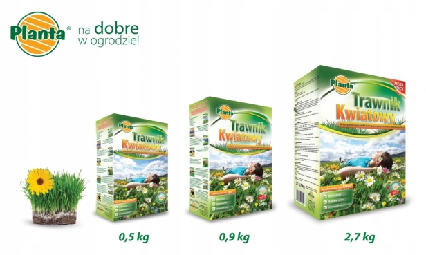 2dbe7caf441e8c797c96bcb44ffa