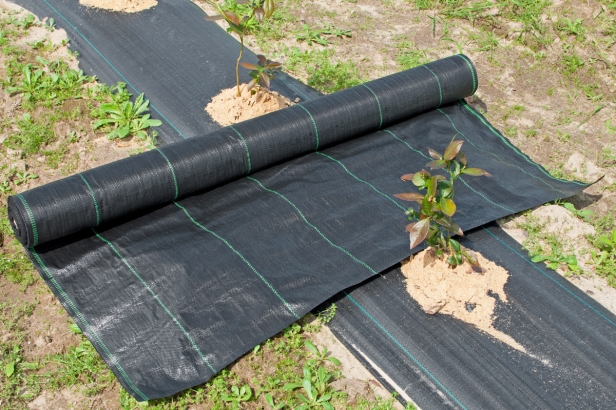 dfcf78d8462bbbec2e16c7850e9d