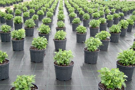 8e2776594451a47f657cb900645d