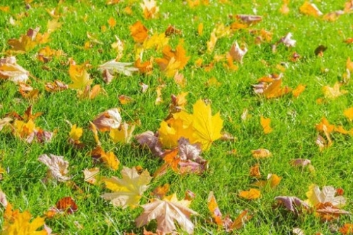 cbbfcaa5429bb3e3c0c6f16b17f8