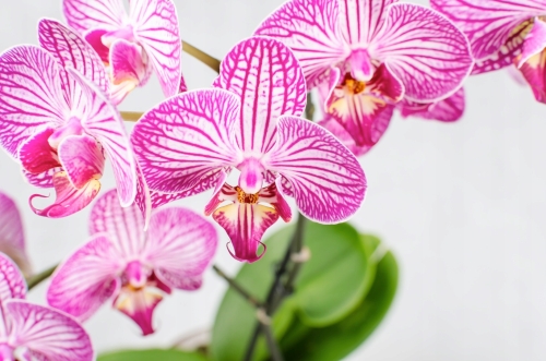 21a1eb7445d28e30a832221bedc1