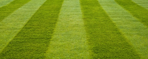 ea86b02e4049a4815e82879d1e2a