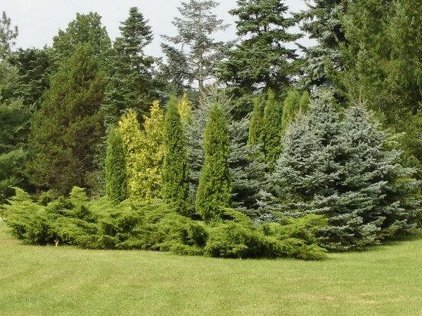 21354c3e41a193b317611bdf817f