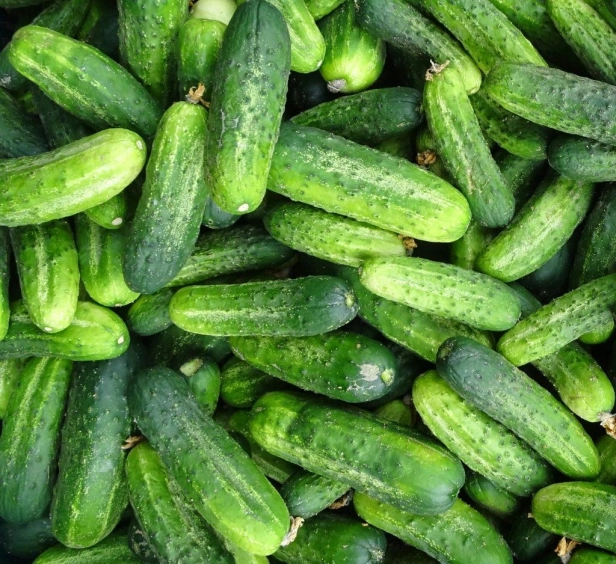 6bad101e46f9a49a8151e89ac238