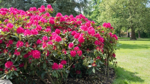 dcffadc244e2ad5563de6758d5c6