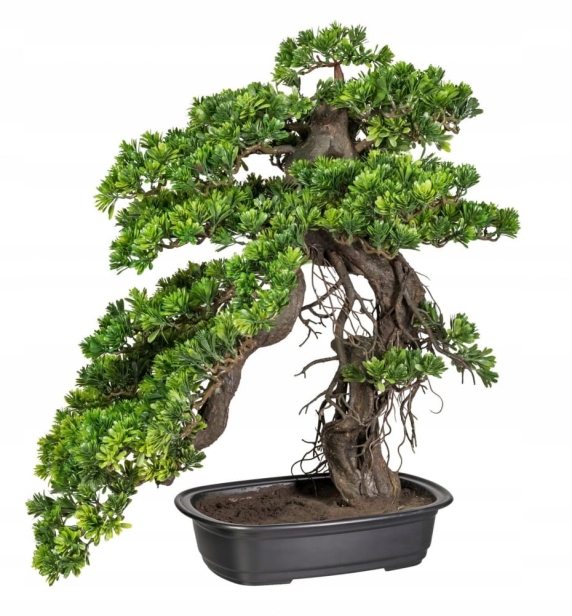 Sztuczne-drzewko-BONSAI-PODOCARPUS-55x45cm.jpeg