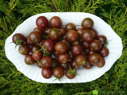 86f314db44ab80ea18f25d3514e3