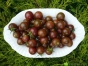 86f314db44ab80ea18f25d3514e3