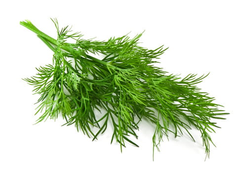 istockphoto-188072795-170667a.jpg