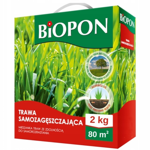 3bfed06d42169761d2b544564bfa