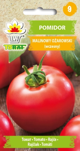1160_POMIDOR MALINOWY OŻAROWSKI.jpg