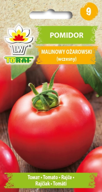 1160_POMIDOR MALINOWY OŻAROWSKI.jpg