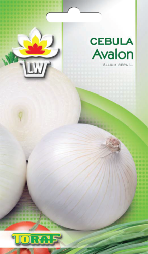 cebula avalon-LW--13_f.png
