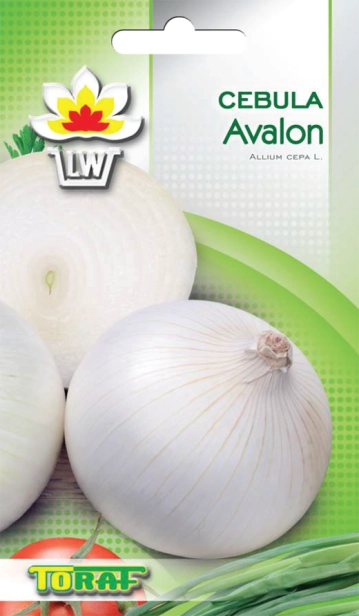 cebula avalon-LW--13_f.png