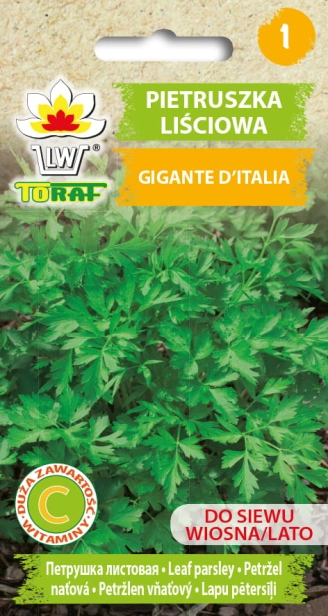 1153_PIETRUSZKA LIŚCIOWA GIGANTE D'ITALIA.jpg