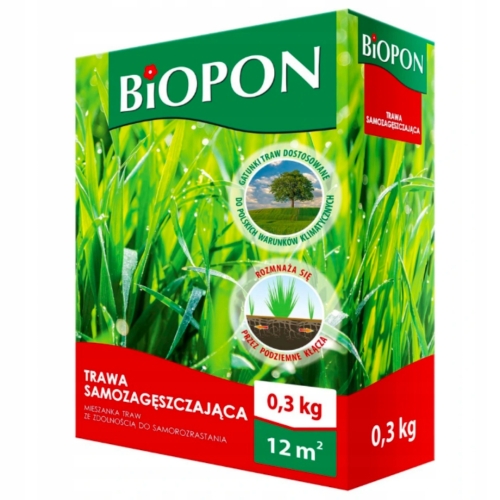 8badab654af2831cb05fec48d344