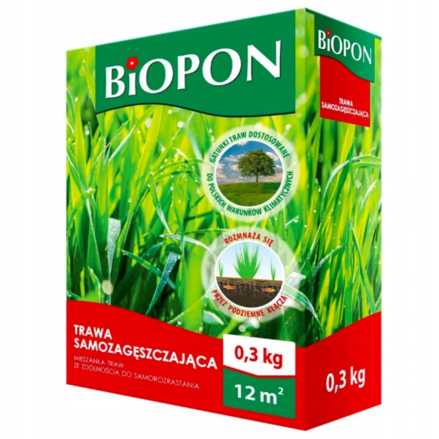 8badab654af2831cb05fec48d344