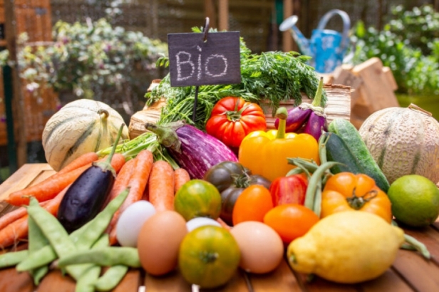 a2d1c216481aa54c3c632418a6a1