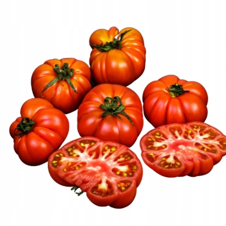 d5e117e04e5695b9a626748a4c9f