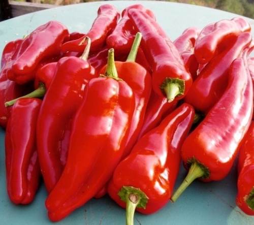 516ef0df4a519d20ba0af7af7142