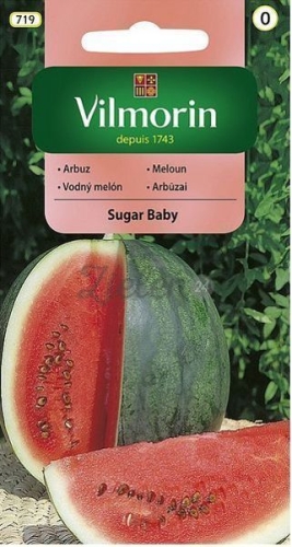 pol_pm_Arbuz-Sugar-Baby-Vilmorin-5340_1.jpg