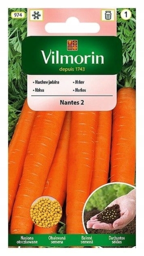 c82a766c41bfbdee455de3b98091