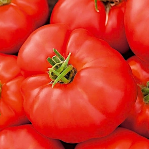 ca1504b442db82a100e80b3c82dc