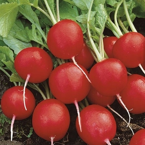 023515c84f38b470c6faa2a1ea76