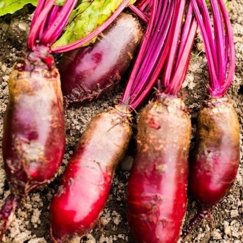 042b0ab14525b67713d1c7f04554