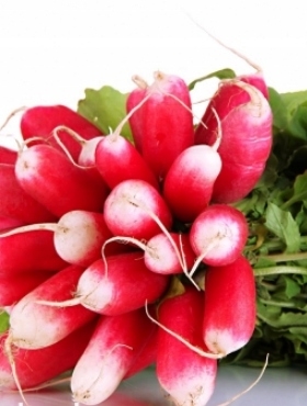 7a8dd0814253a52d8cd647d25a1f