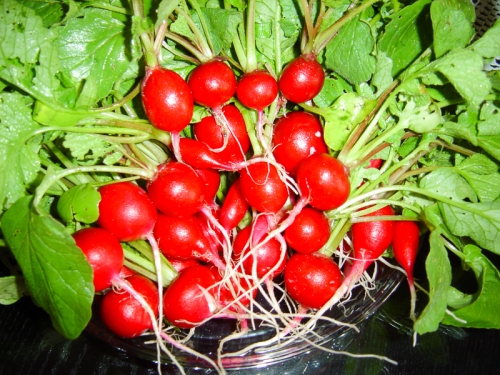 59fb140743018630ceeb7569b385