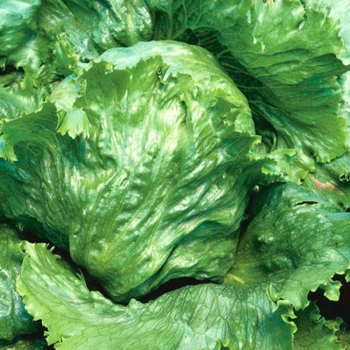 679b0f5b4893a90626a292139802