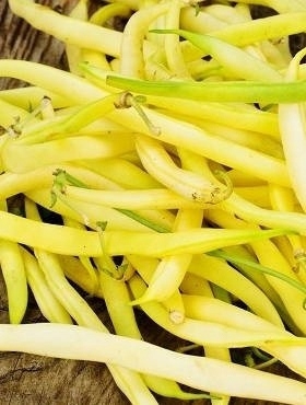 a952eea041ce8305aad87b2d0c27