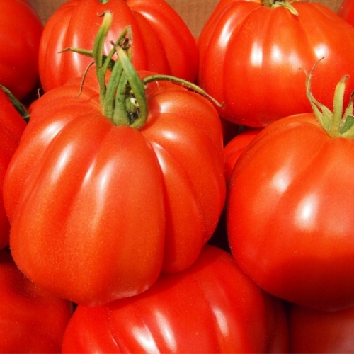 7f6373b34af181108f6589e5e4b4