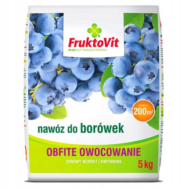 e409e8bf4c64bff02621ca5e2261