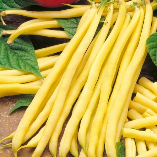 9752f64e43a88a73a5e1d81de7bf