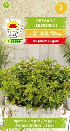oregano_toraf.jpg