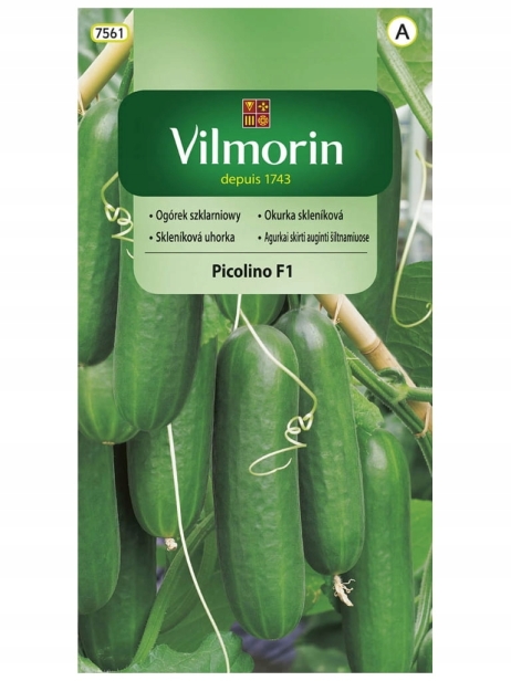 6ff61c87428eacd6709bb604998d