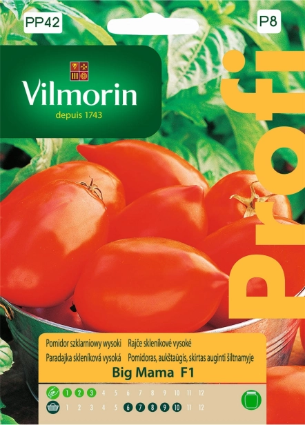 Pomidor-Szklarniowy-Wysoki-Big-Mama-F1-Lycopersicon-esculentum--Vilmorin-naiona-0.1g-EAN-5907617323100.jpg