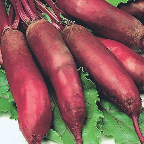 2b9421b14dfe8d679d09ddcad1af