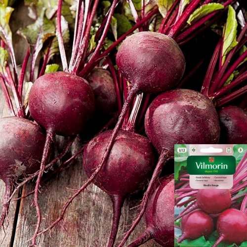 4e3f1bd0489f9c691b1a516e550d