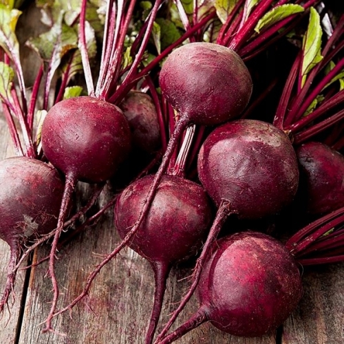 dddf38944ec3b02219a84433f3aa