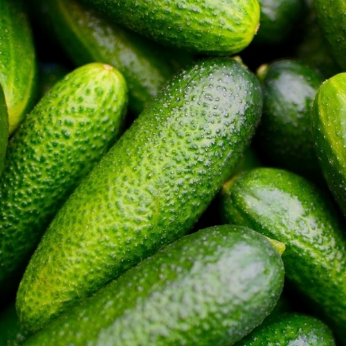 14318da9455aa376072aa372cb2d