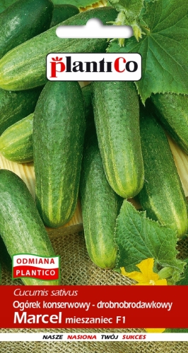 82bf7eeb497fa80b391fcd9865c8