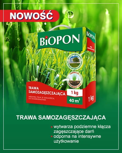 biopon_trawa_samozageszczajaca_400x502_-_www_10.03.20_2020_dm_ok.jpg