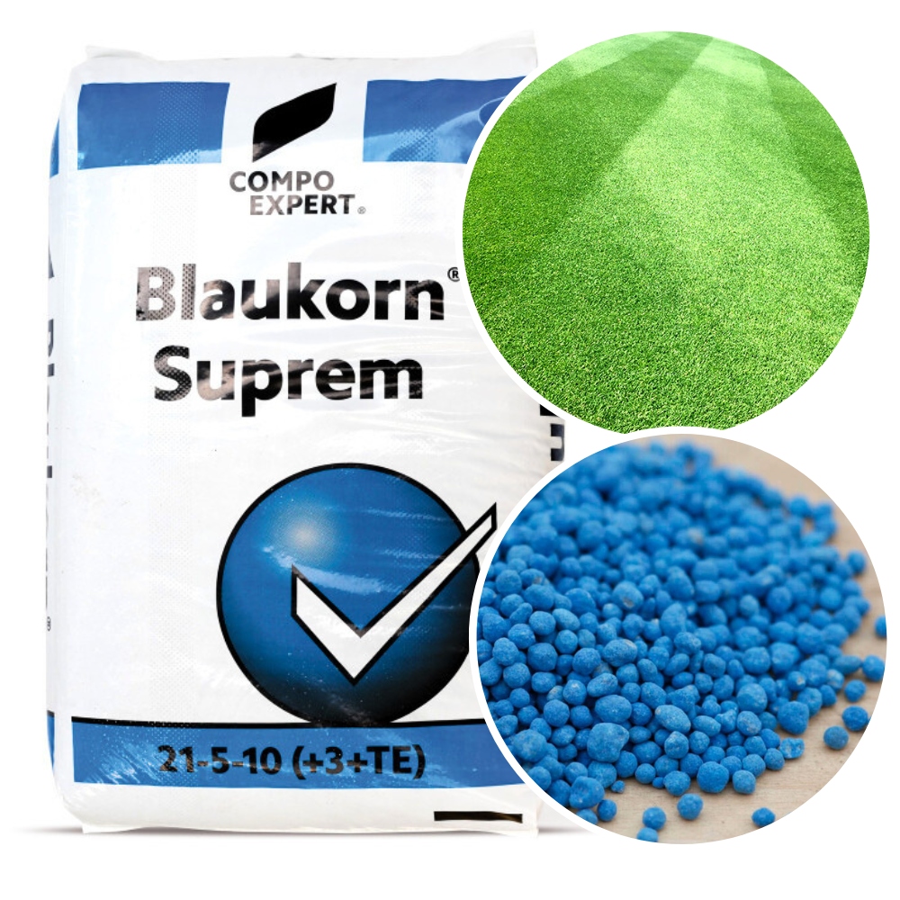 sprossen saatgut bio Bio-Sprossen Samen-Set Würzig-Scharf kaufen main image 0